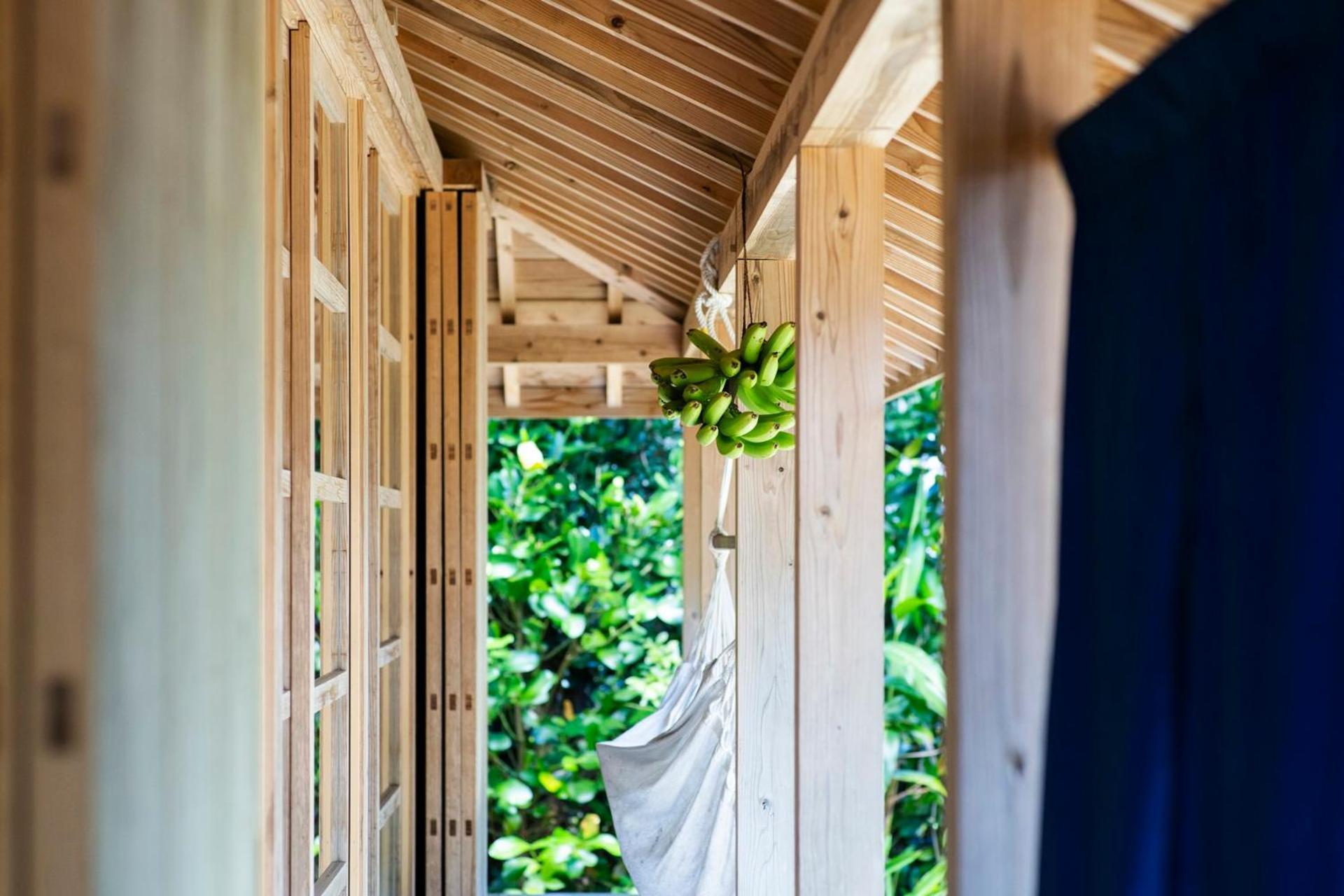 フクギに囲まれた家 さばんぎ沖縄古民家 Savangi Okinawan Designed Folk House Nakijin Exterior photo