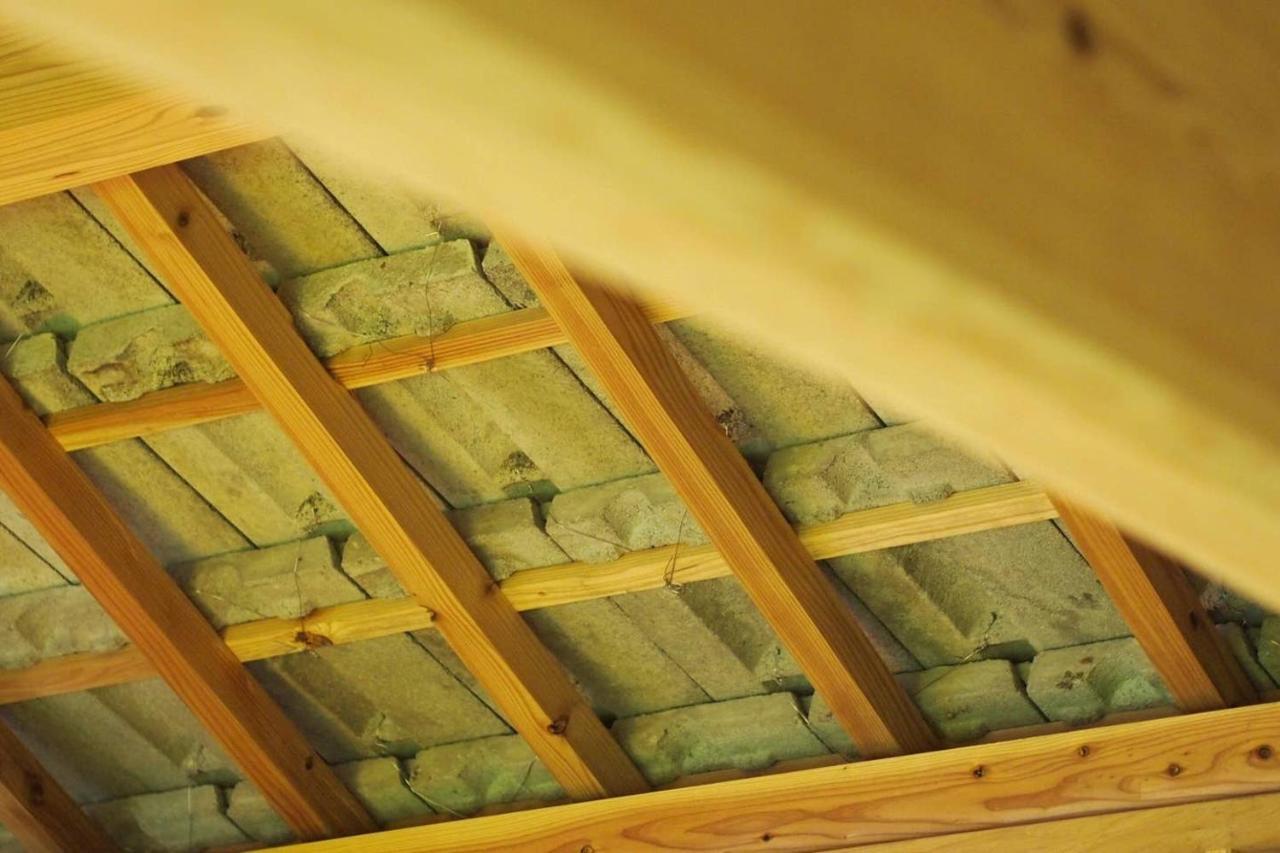 フクギに囲まれた家 さばんぎ沖縄古民家 Savangi Okinawan Designed Folk House Nakijin Exterior photo